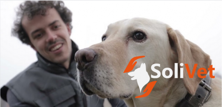SoliVet : l'association vétérinaire pour les publics précaires