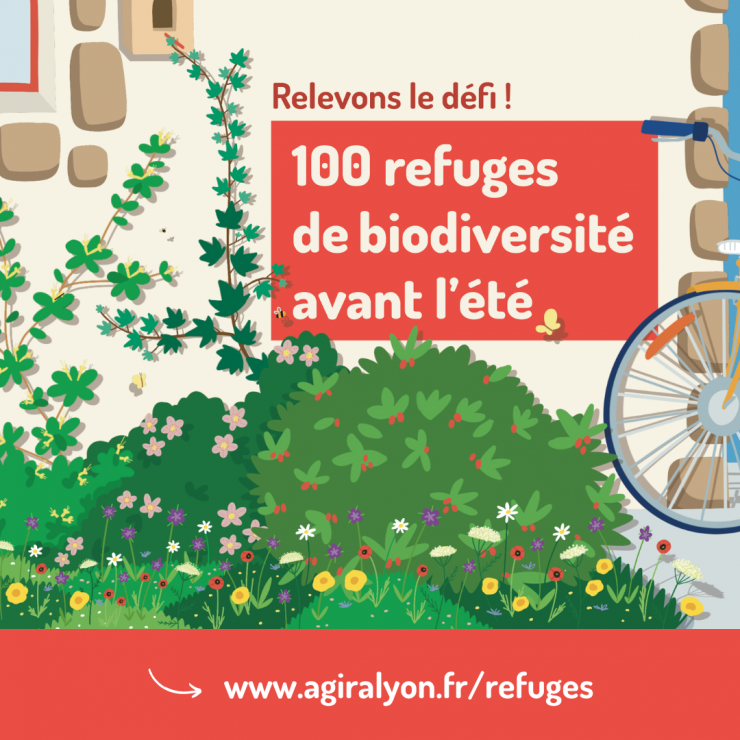 C'est parti pour le Défi "100 refuges de biodiversité avant l'été" ! 