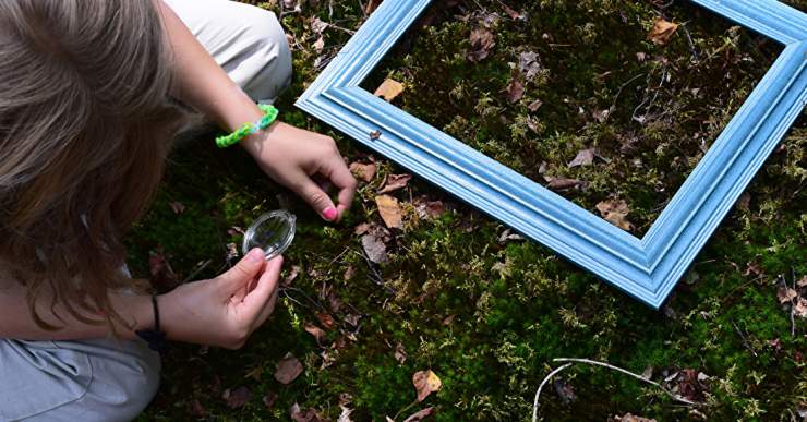 Eduquer dehors : principes et bases pour agir 