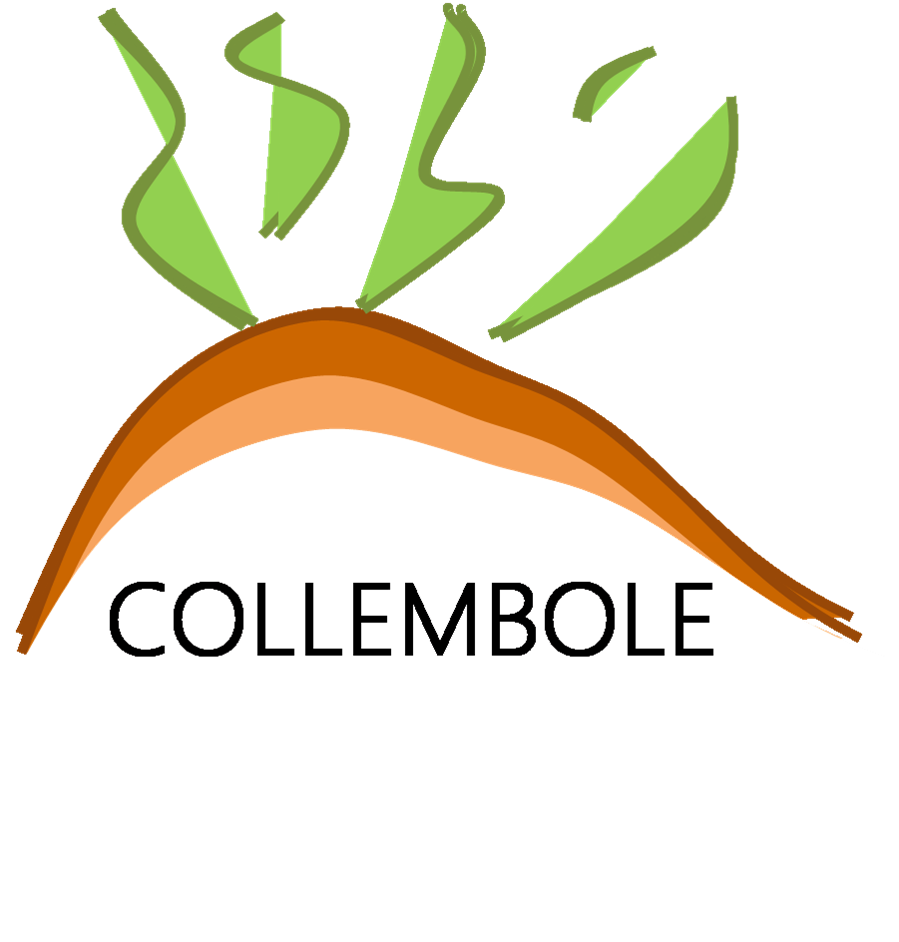 Collecteur – composteur.trice chez COLLEMBOLE à mi-temps