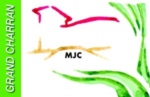 MJC Grand Charran recherche 1 volontaire sur l&rsquo;organisation et l&rsquo;animation d’évènements culturels et participatifs pour créer du lien social sur le quartier